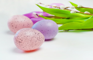 Obraz na płótnie Canvas Colored eggs on white background. Easter, Spring holidays
