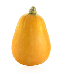 pumpkin on white background