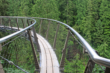 Capilano suspension Bridga Park