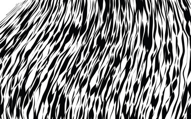 Black and White Wave Stripe Optical Abstract Background