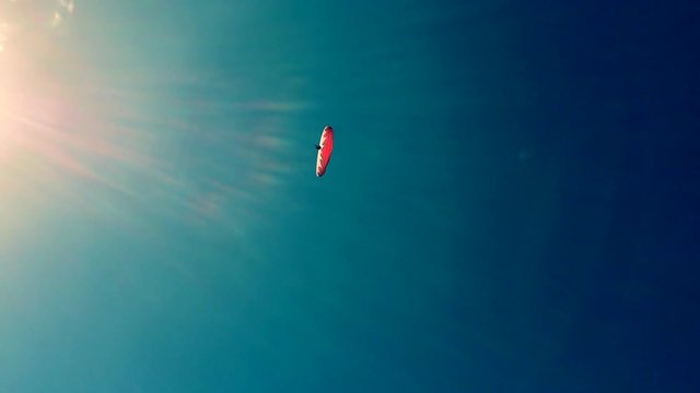 fliegen