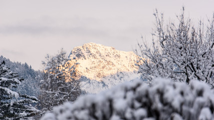 Landscapes in the Mist