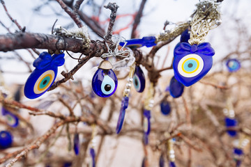 Nazar, charms to ward off the evil eye , on the branches of a tree in Turkey