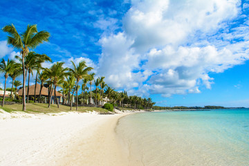 Beautiful summer landscape of the tropical coast