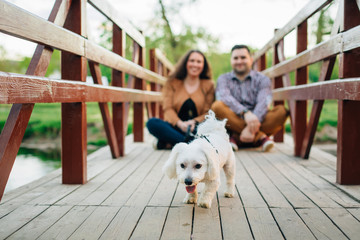 Young stylish happy couple in love playing with little white dog on wooden bridge. Pretty girl and man having fun with maltese outdoors.