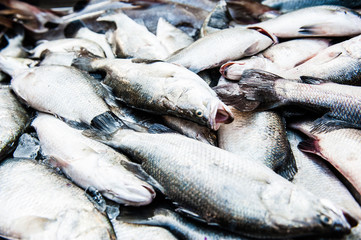 Pesce fresco al mercato Thailandese