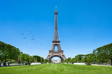 Fotobehang Eiffelturm in Paris, Frankreich © eyetronic