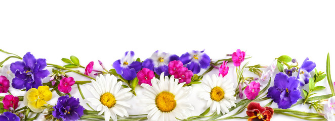 Chamomile and Violet isolated on white background. Flat lay, top view.