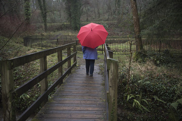 Rear view image of a mature woman walking in the rain with a red umbrella 
