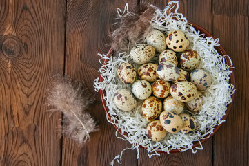 Fresh quail eggs in a plate on a wooden background. Rustic style.