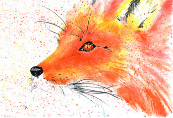 Lovely forest resident red fox. Watercolor illustration.