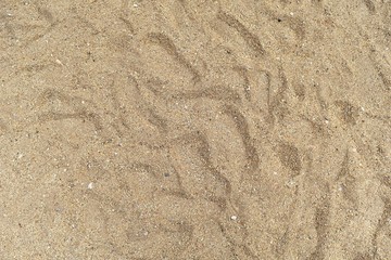 Fototapeta na wymiar shoes print on dry sand for background