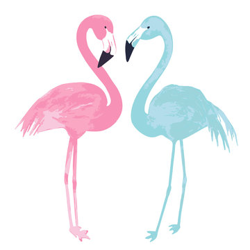Watercolor couple flamingos on white background. Vector illustration