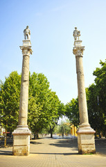 Fototapeta na wymiar Alameda de Hércules en el centro de Sevilla, España