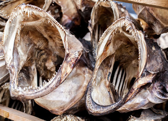 dried fish