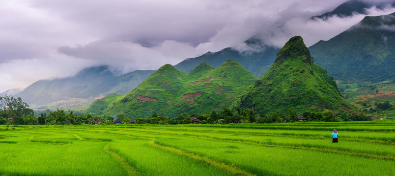 Panorama scene of rice fields and terrace on daylight sunshade at Sapa, Vietnam