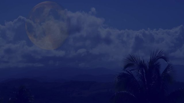 time lapse .Full moon on a tropical night, palm trees on the night sky background