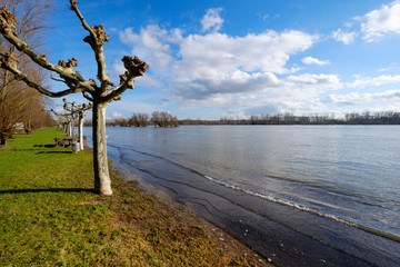 Fototapeta na wymiar An der Rheinpromenade nach dem Hochwasser