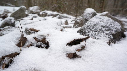 rocks covered in snow