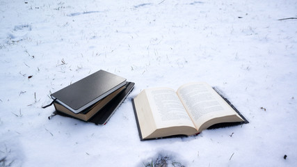 books in snow