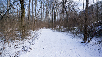 snow covered path