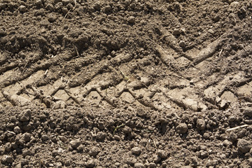 Traktor Spuren auf dem Feld