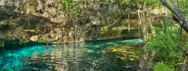 Gordijnen Grand Cenote in Mexico. © Belikova Oksana