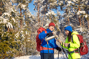 Walk through the winter forest with a backpack and tent.