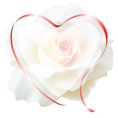 Realistic white rose, romantic frame, heart.