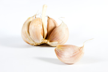 Close up whole white garlic on white background.