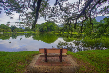 Fototapeta na wymiar Lonely chair near lake and nature background.
