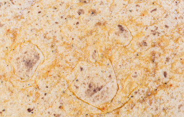 tortilla wrap background