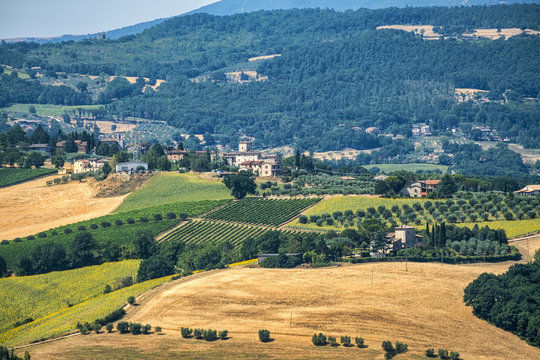 Landscape in Umbria near Todi