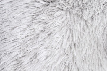 Sheepskin rug background. Wool texture. Close up sheep fur