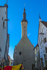Fototapeta premium Panoramic view of Tallinn old town. Estonia, Europe.