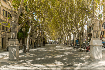 Passeig des Born in Palma de Mallorca - 2738 © Wolfgang Jargstorff