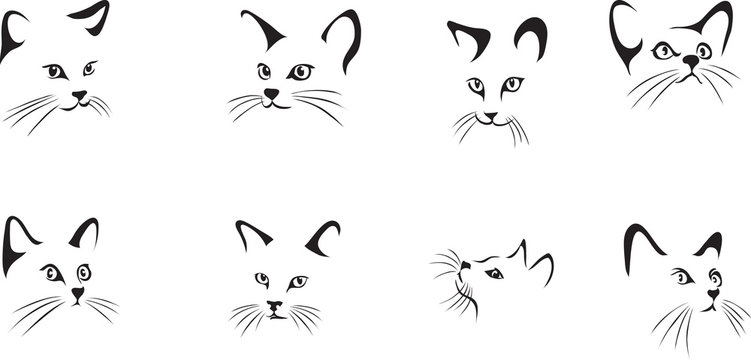 cat, portrait, graphic image, black, portraits of cats