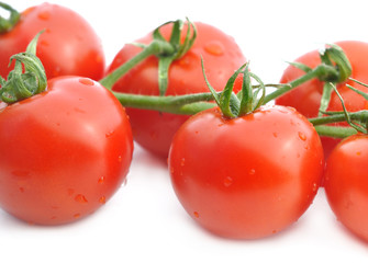 freshness group of tomatoes cevered with drops on white background