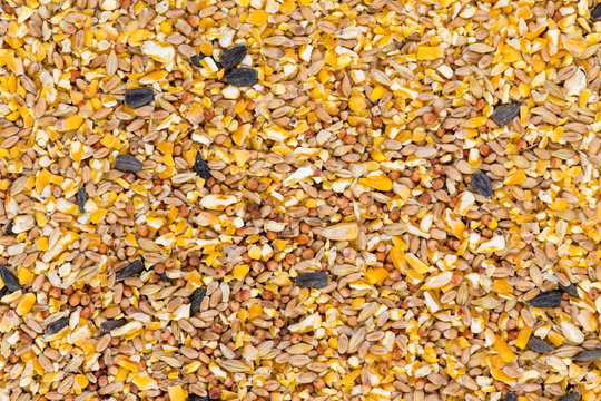 Background texture of crushed seed and grain mix for poultry
