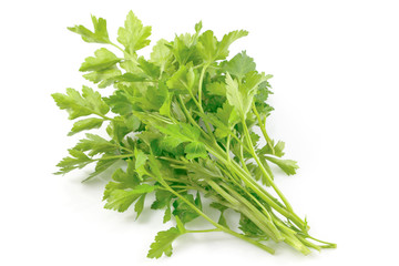Fresh green parsley, parsley herb isolated on white background with clipping path.