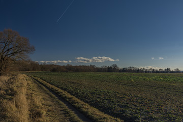 Malse river near Ceske Budejovice city