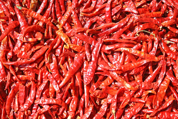 Red dried chilli background.