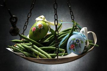 Phaseolus vulgaris Vrtni grah Green bean Fagiolini Haricot vert Fagiolino Ejote Tegolina Vagem...