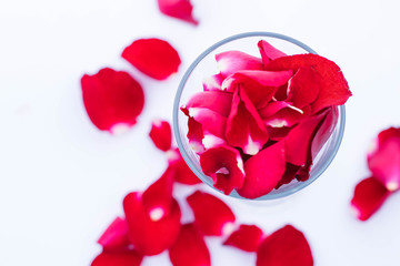 beauty red rose petal in the glass and ground