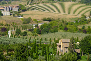 Fototapeta na wymiar Country landscape from Orvieto, Umbria, Italy