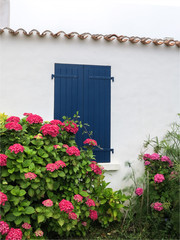 Fototapeta na wymiar Fenêtre d'une maison traditionnelle sur l'île d'Yeu en France