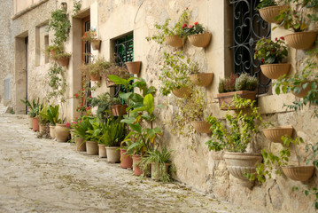 Fototapeta na wymiar Potted plants at a house wall in Valldemossa, Majorca - 0524