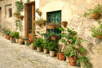Fototapeta na wymiar Potted plants at a house wall in Valldemossa, Majorca - 0526