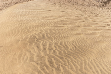 Fototapeta na wymiar Brown sandy beach for background. Sand beach texture