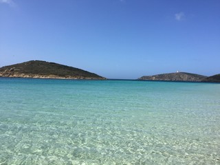 mare sardo